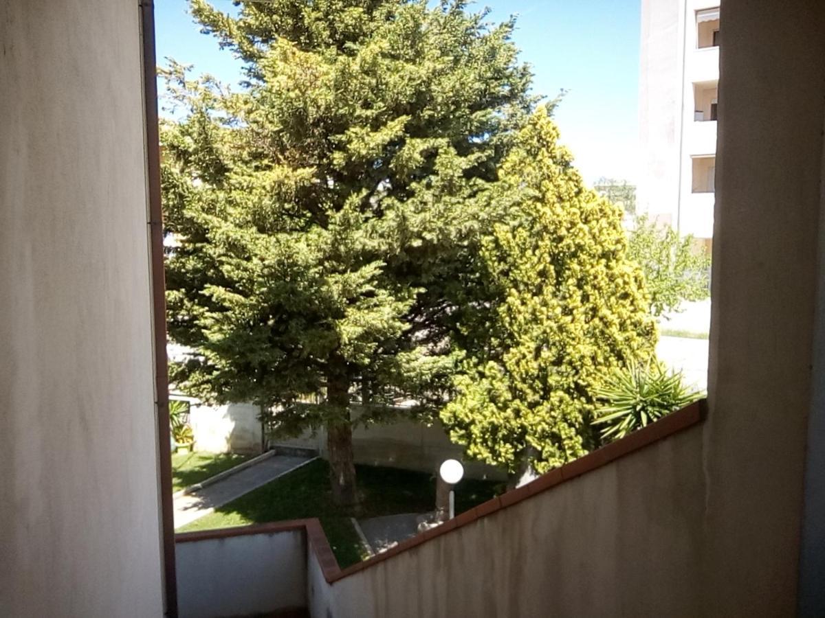 Bed & Breakfast Del Parco Pescara